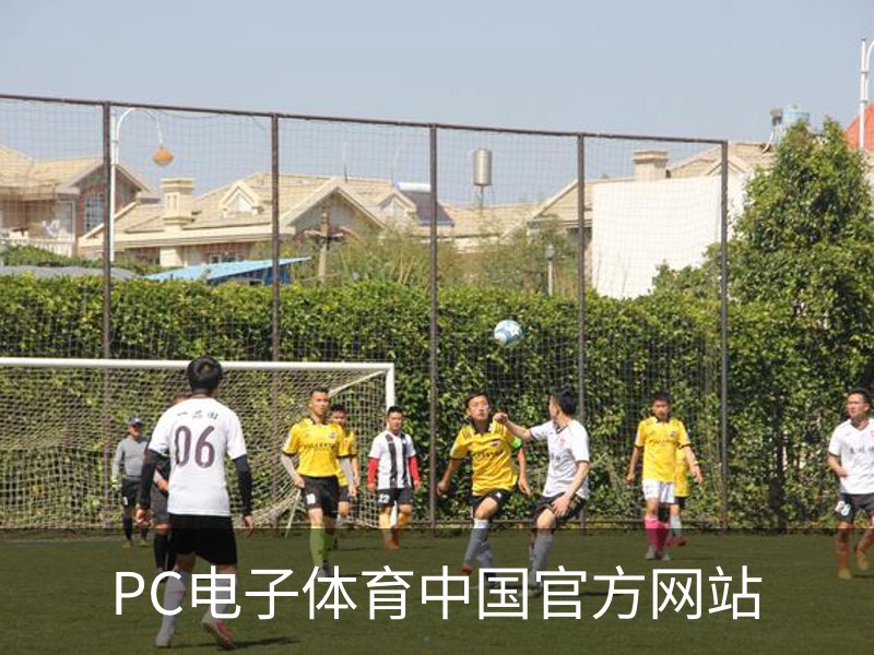 PC电子体育中国官方网站概况