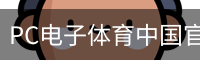 PC电子体育中国官方网站